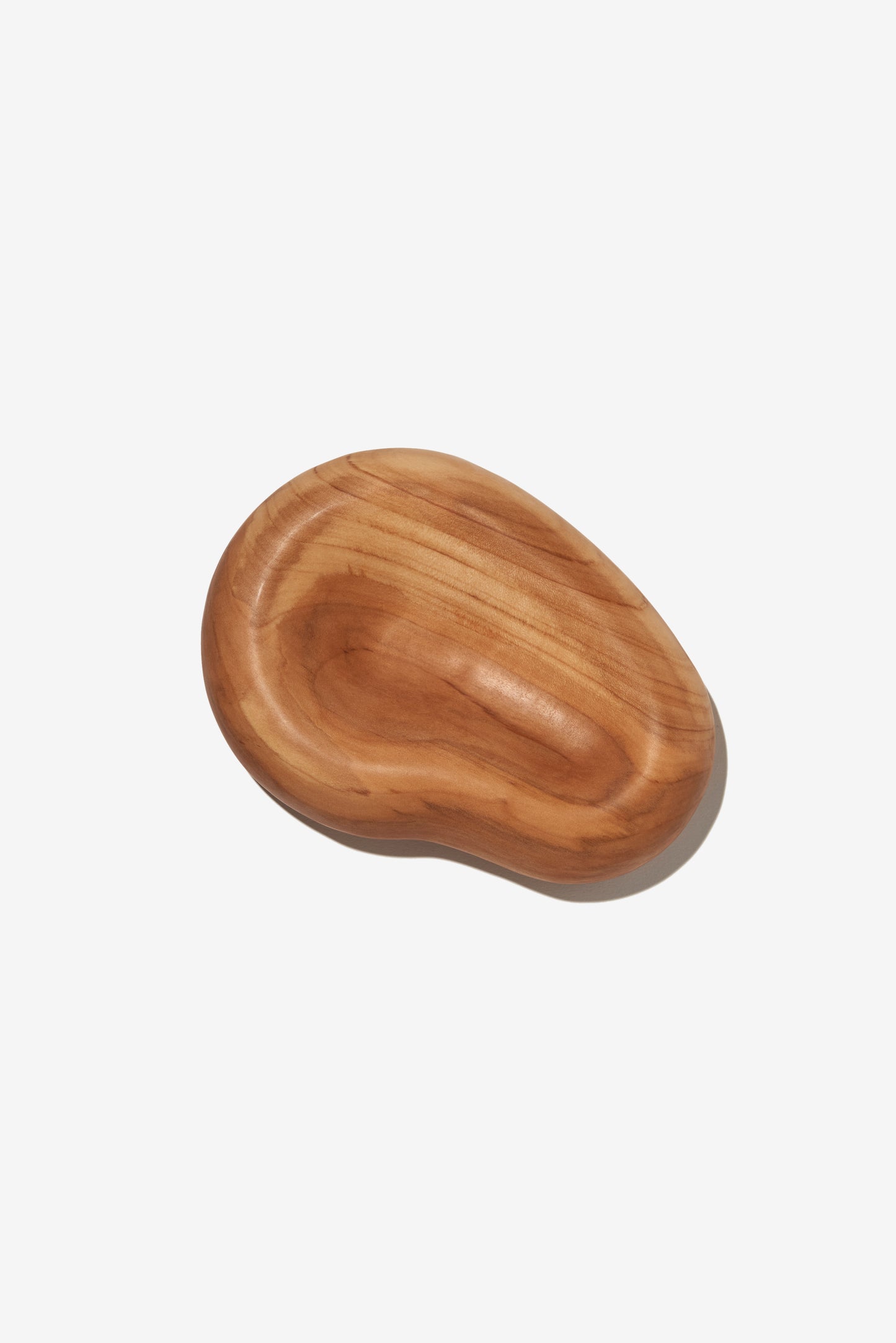 "stony plate" (りんごの木)