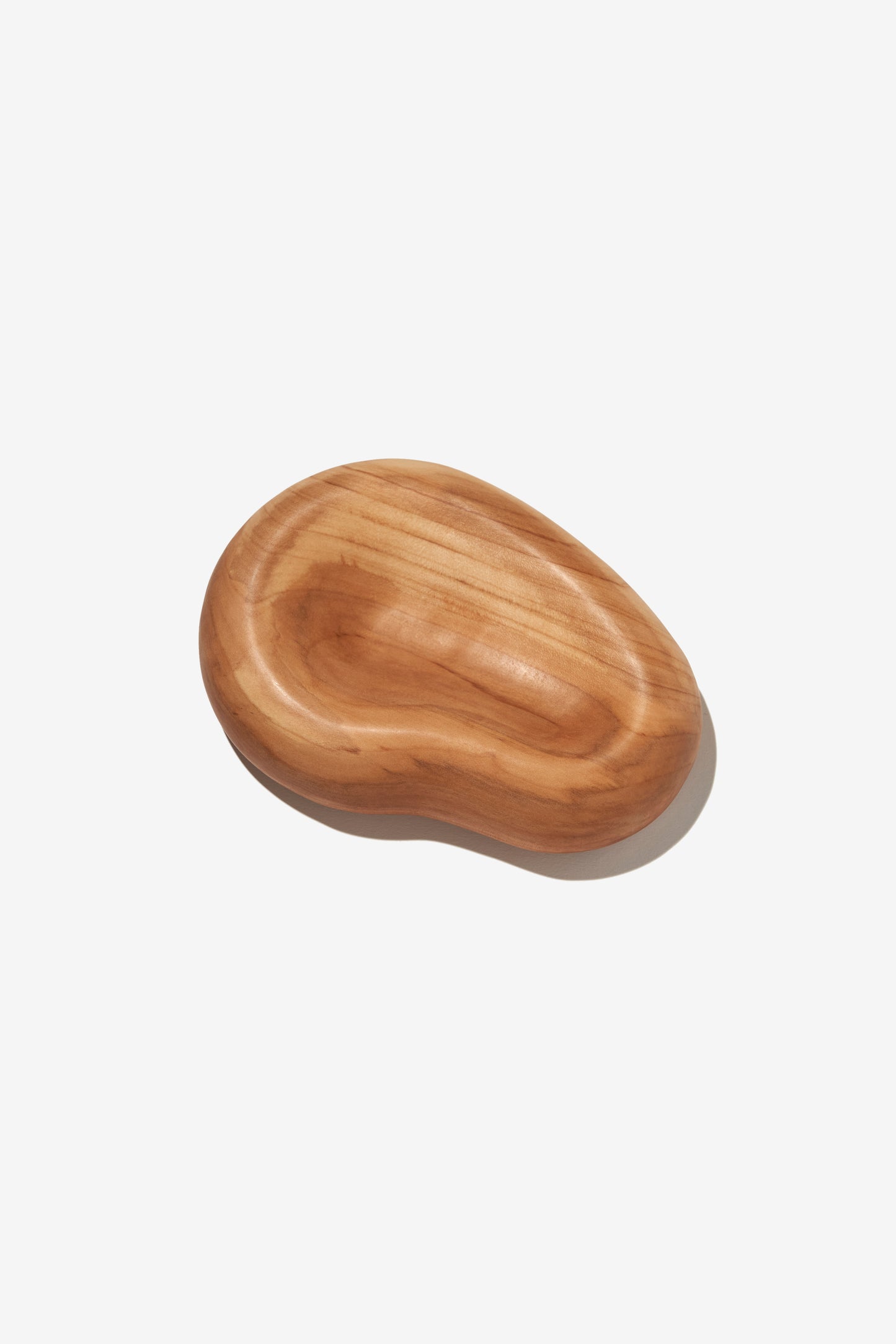 "stony plate" (りんごの木)