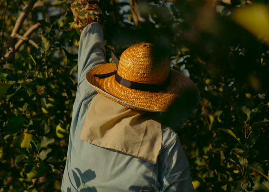 La mela magazine vol.1