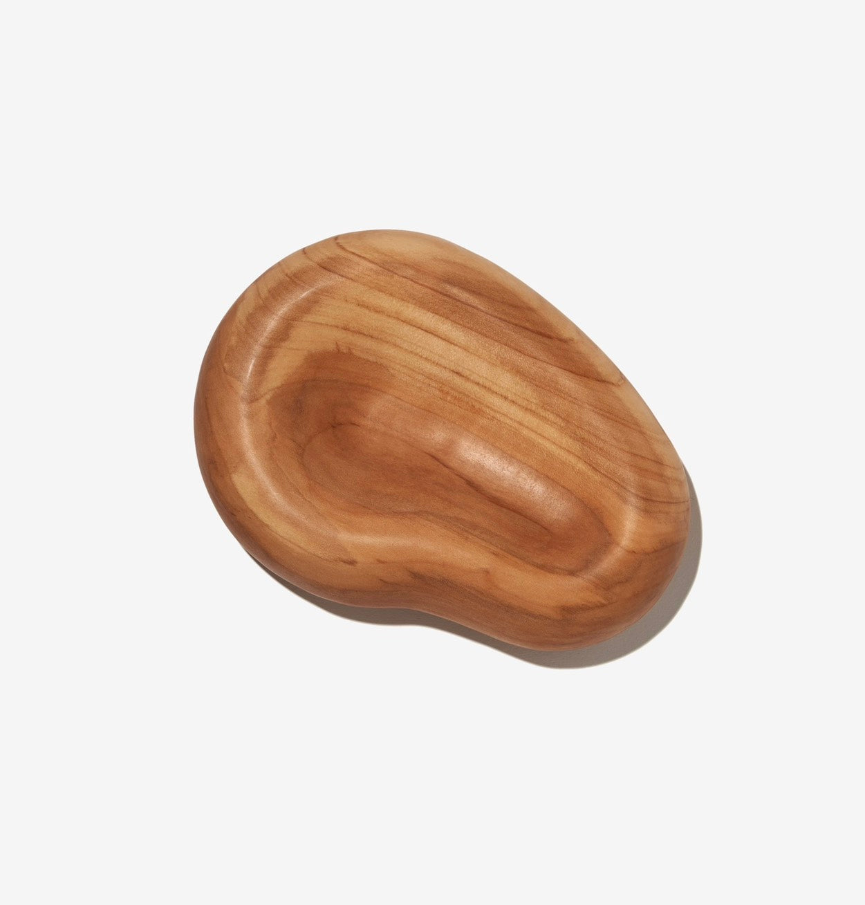 "stony plate" (りんごの木)